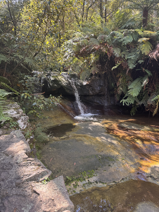 Blue Mountains