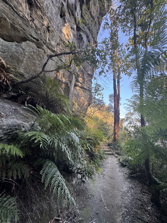 Blue Mountains