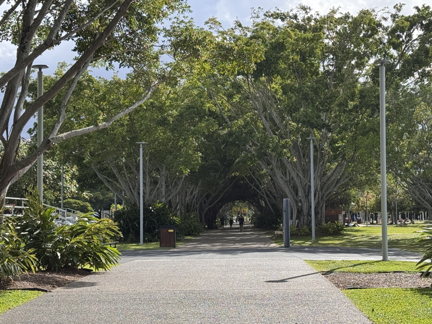 Tree Tunnel