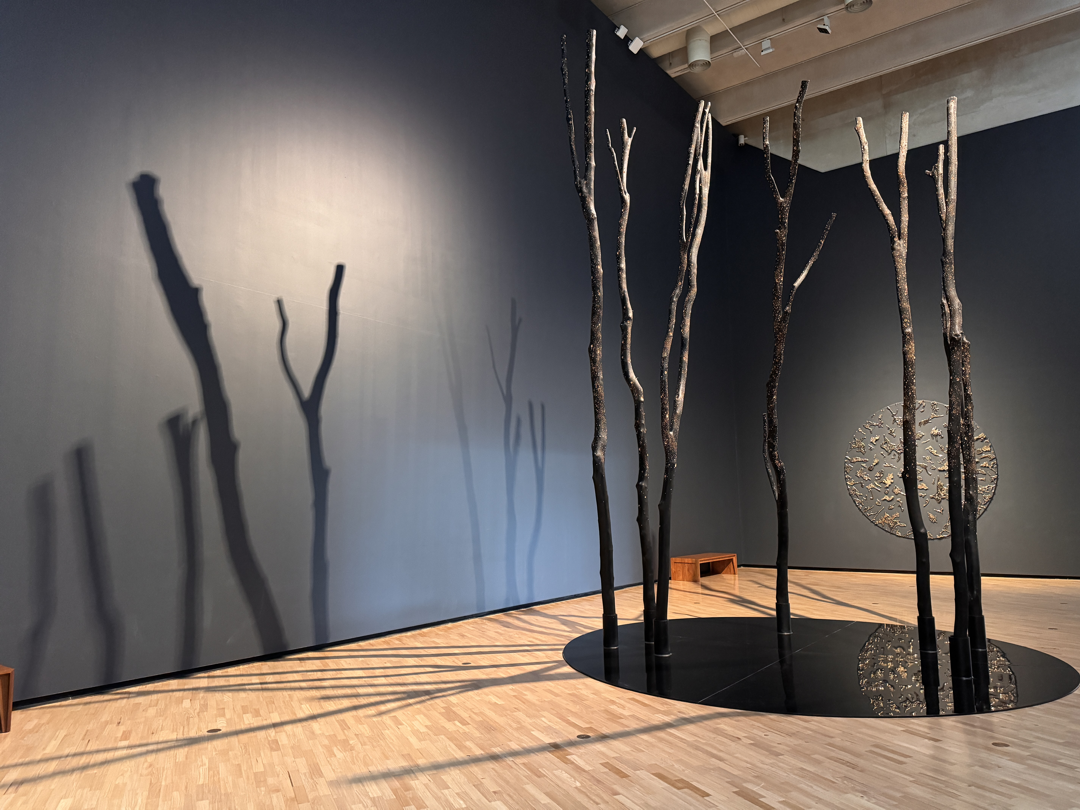 Charred Forest