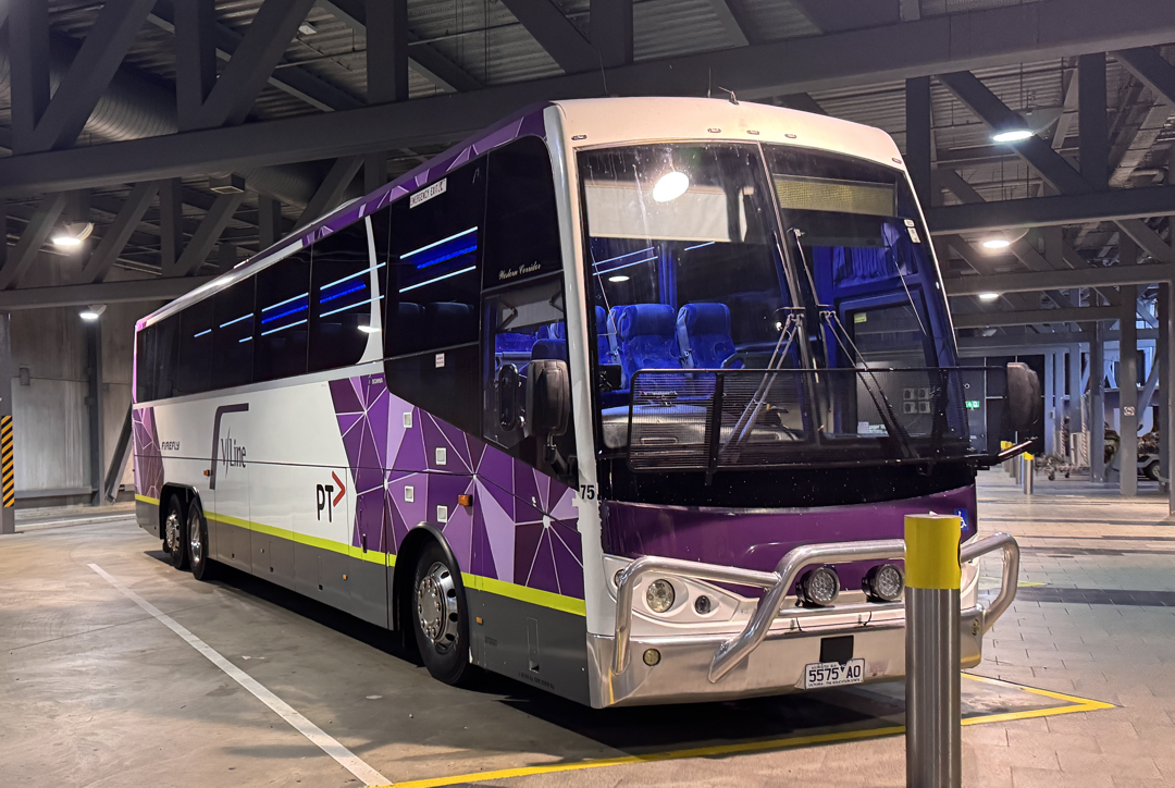 Firefly Bus