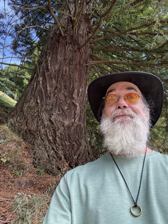  Te Waihou Redwood