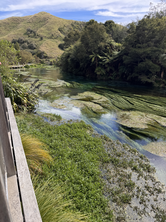 Te Waihou