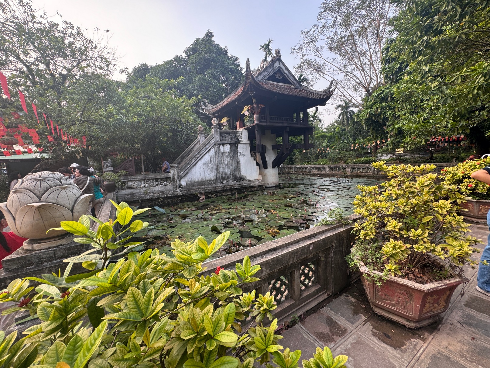View