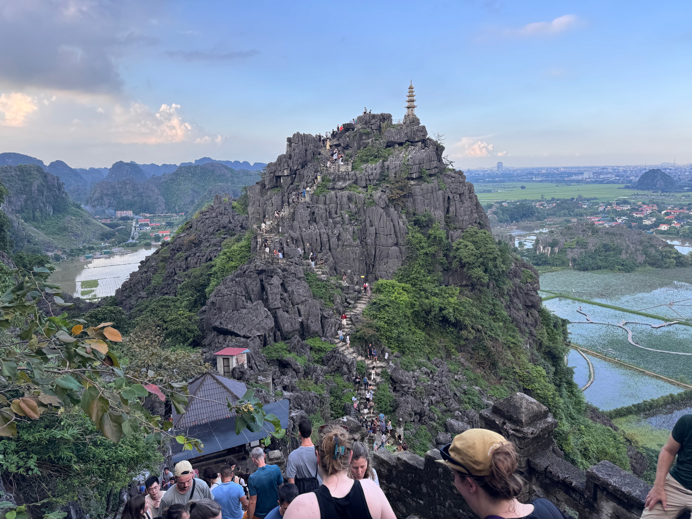 View