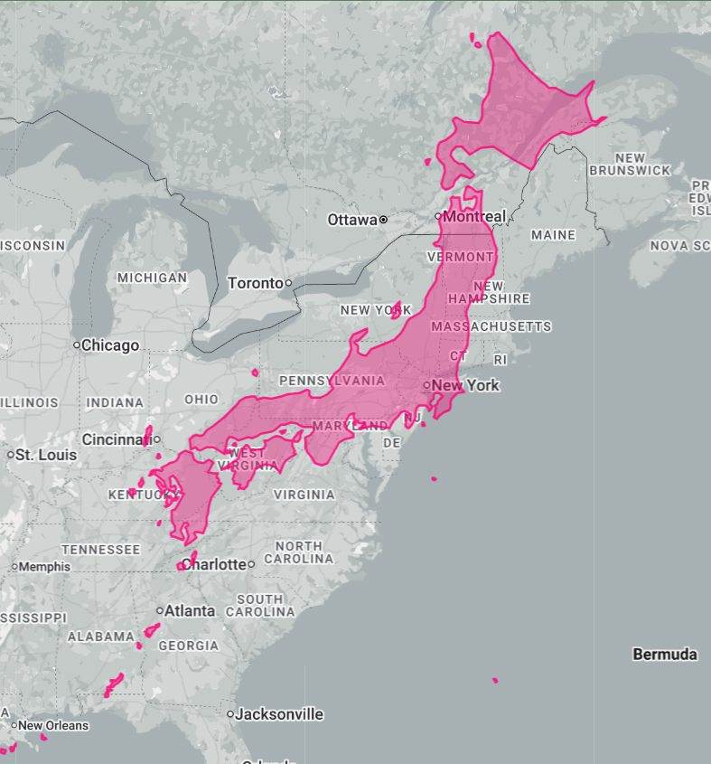View