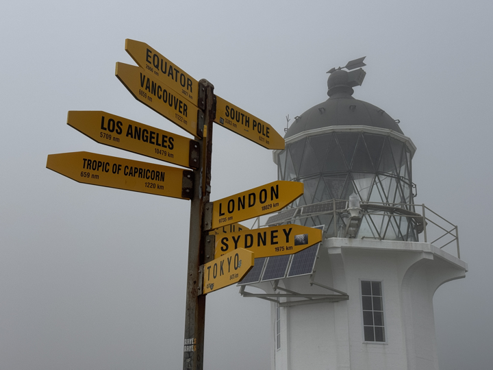 Mallarkey Tours