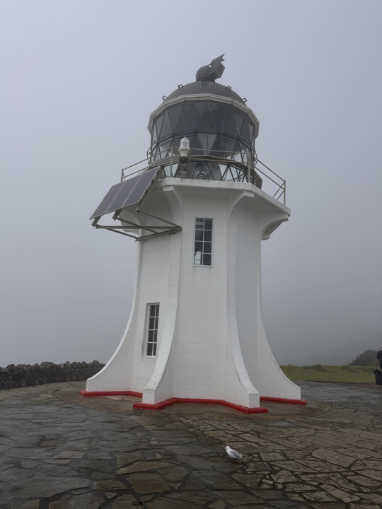 Mallarkey Tours