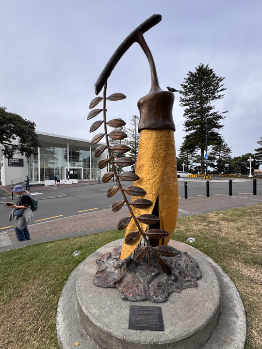 Napier Bluff