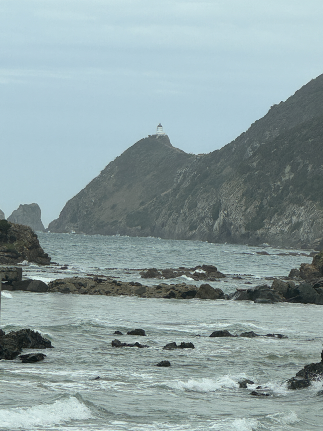 Nugget Point