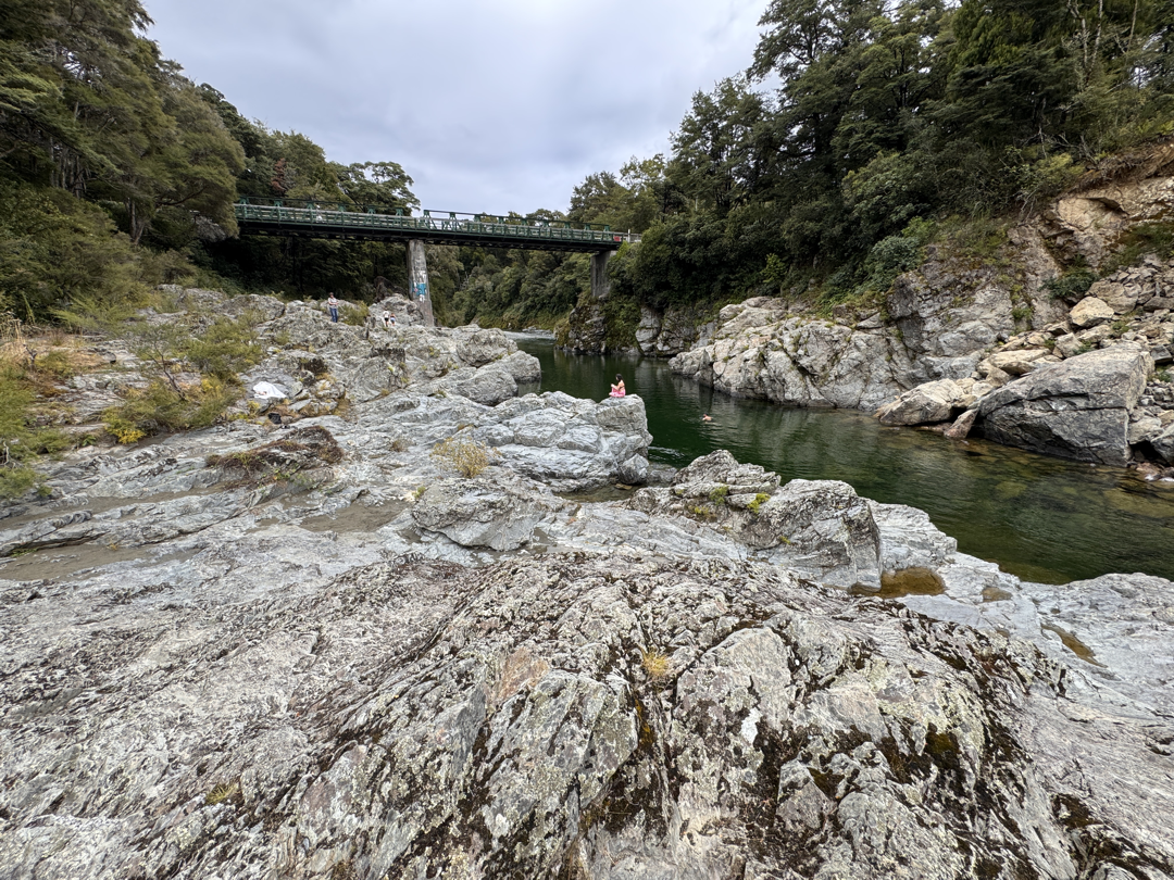 Pelorus
