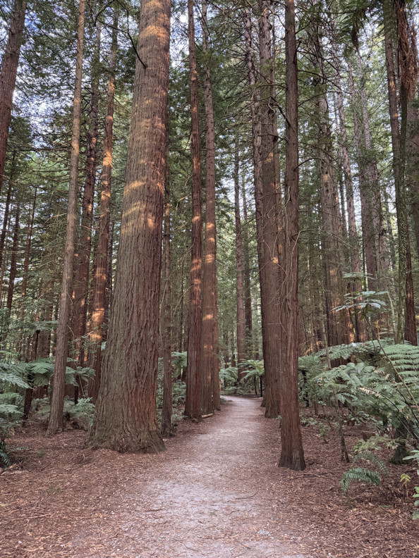 Rotorua