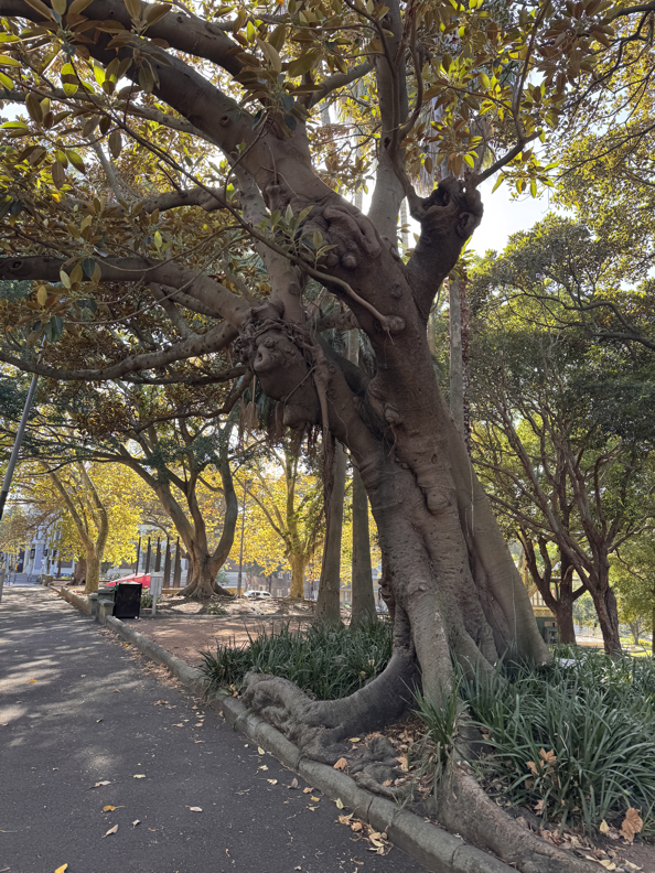 Sydney