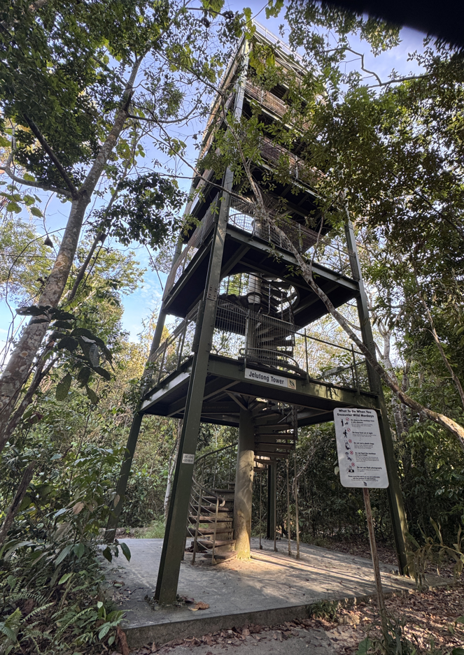 Tower