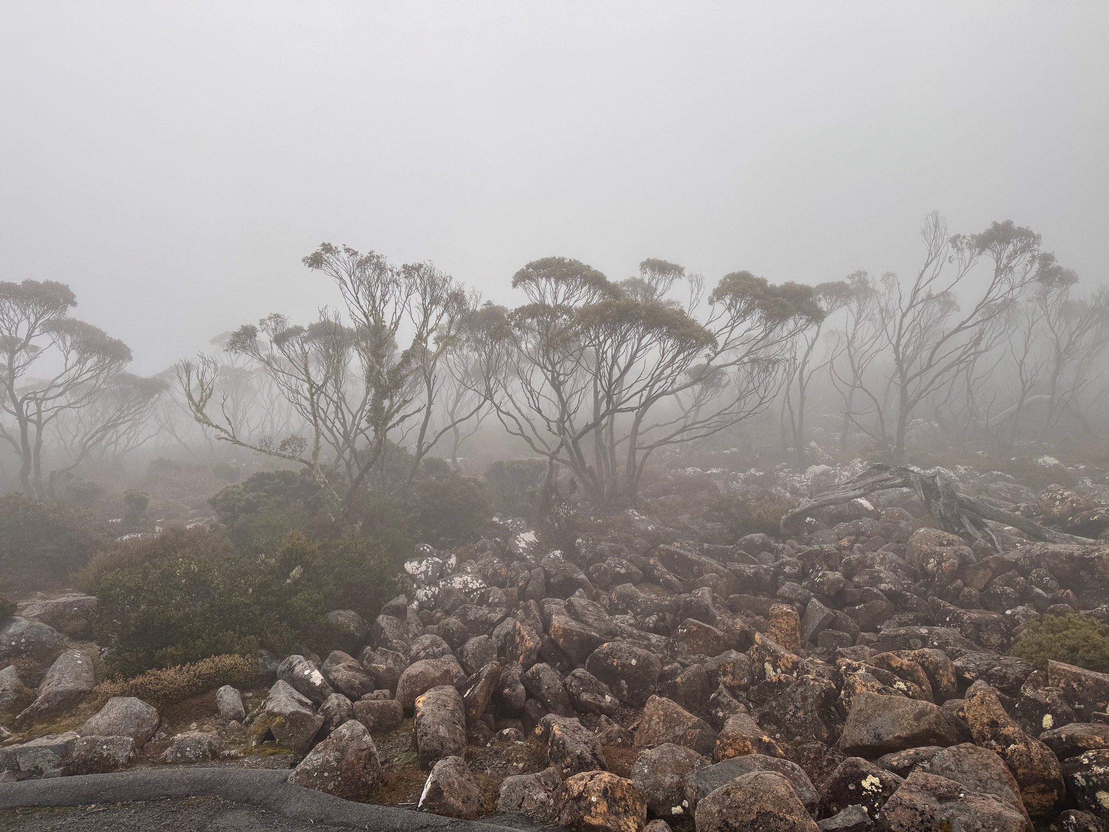 Mooses Hobart