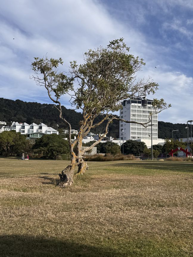 Wellington