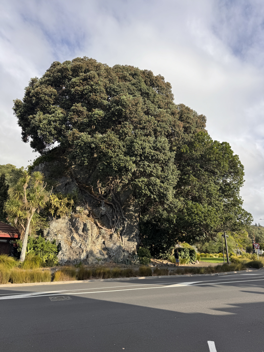 Whakatane