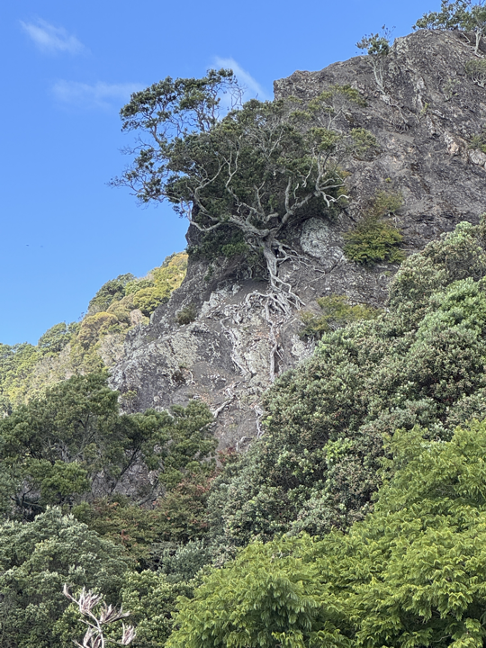 Whakatane