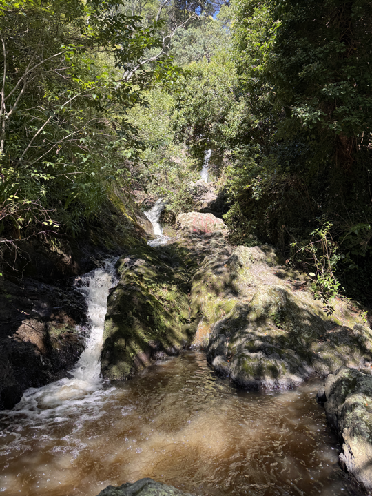Whakatane